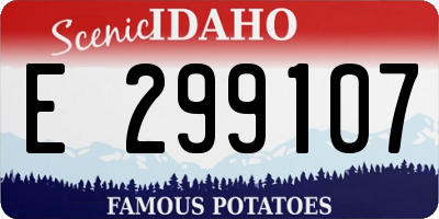 ID license plate E299107