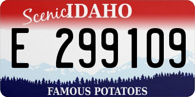 ID license plate E299109