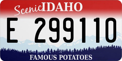 ID license plate E299110