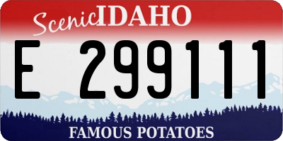 ID license plate E299111