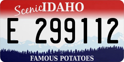 ID license plate E299112