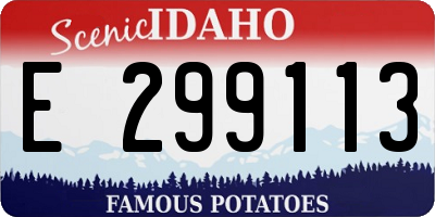 ID license plate E299113