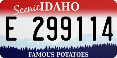 ID license plate E299114