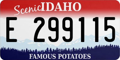 ID license plate E299115