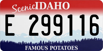 ID license plate E299116