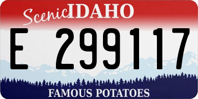ID license plate E299117