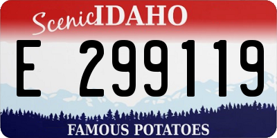 ID license plate E299119