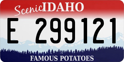 ID license plate E299121