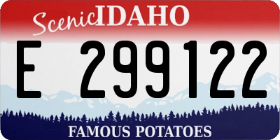 ID license plate E299122