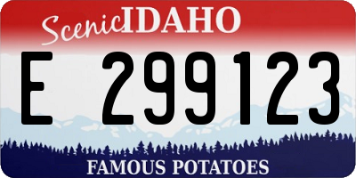 ID license plate E299123