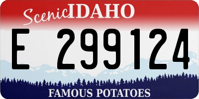 ID license plate E299124