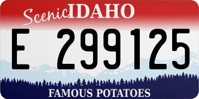 ID license plate E299125
