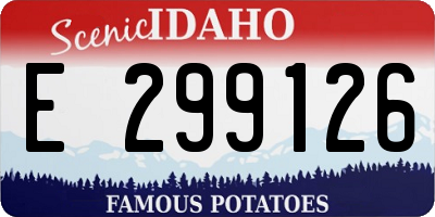 ID license plate E299126