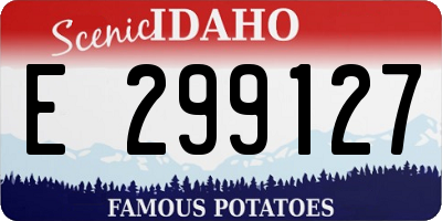 ID license plate E299127