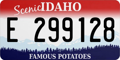 ID license plate E299128
