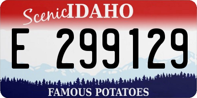 ID license plate E299129