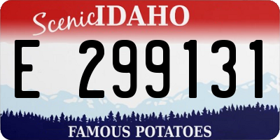 ID license plate E299131