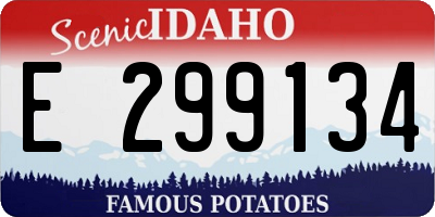 ID license plate E299134