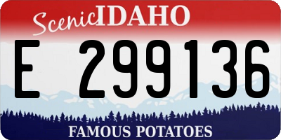 ID license plate E299136