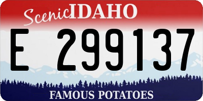 ID license plate E299137
