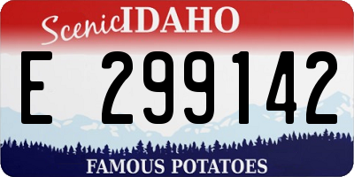 ID license plate E299142