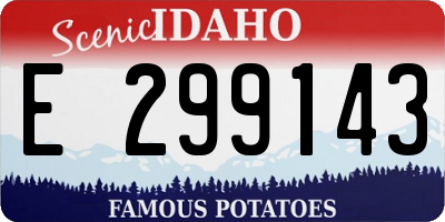 ID license plate E299143