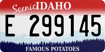 ID license plate E299145