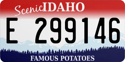 ID license plate E299146