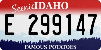 ID license plate E299147