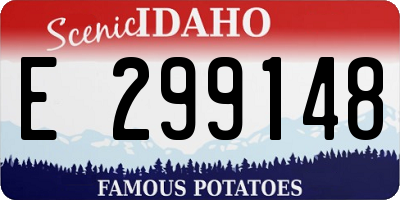 ID license plate E299148