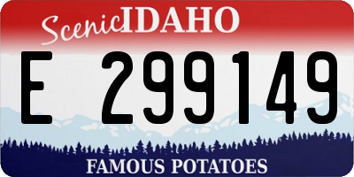 ID license plate E299149