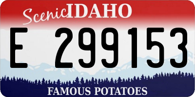 ID license plate E299153