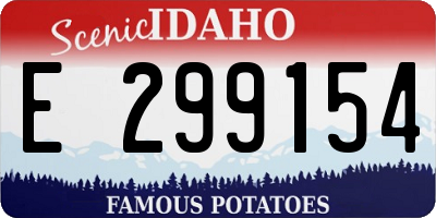 ID license plate E299154