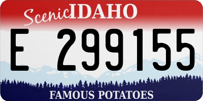 ID license plate E299155