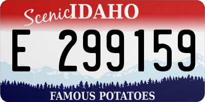 ID license plate E299159