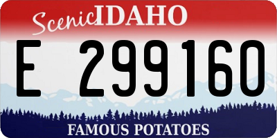 ID license plate E299160