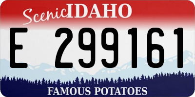 ID license plate E299161