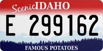 ID license plate E299162