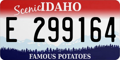 ID license plate E299164