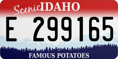 ID license plate E299165