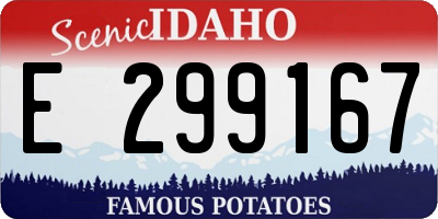 ID license plate E299167