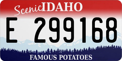 ID license plate E299168