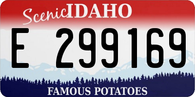 ID license plate E299169