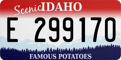 ID license plate E299170