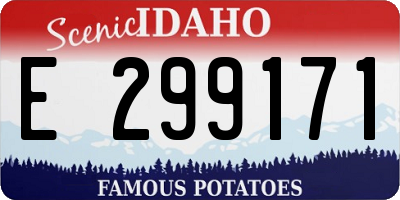 ID license plate E299171