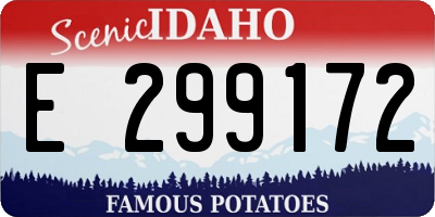 ID license plate E299172