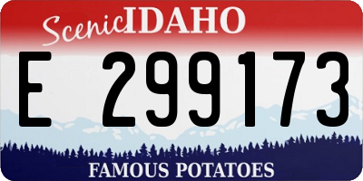 ID license plate E299173