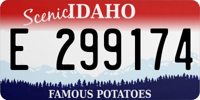 ID license plate E299174