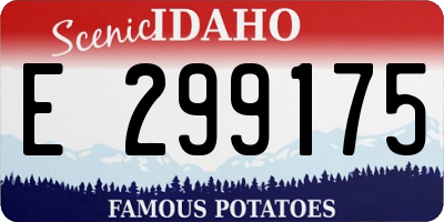 ID license plate E299175