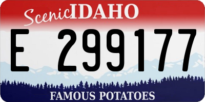 ID license plate E299177
